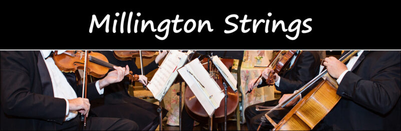 Millington Strings appearing a the Rocklin Community Festival 5/11/25.